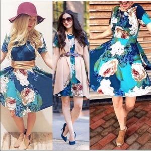 Corey Lynn Calter Paeonia Fit n Flare size 8